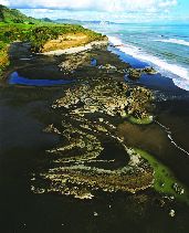 >Mass transport deposits in deepwater settings