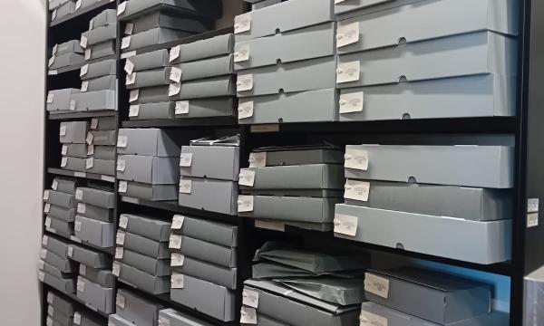 Fondo Adolfo Targioni Tozzetti: nuova descrizione in Chartae