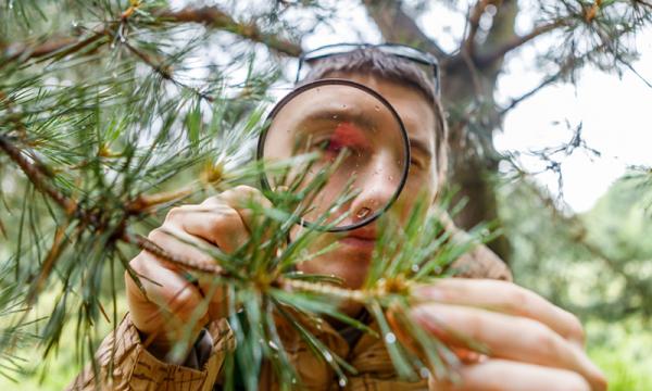 Bibliolab: dalla ricerca bibliografica alla redazione di una relazione tecnico-scientifica 