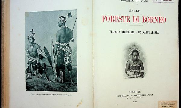 L’occhio della scienza: Roster e Beccari, esploratori di luoghi e immagini