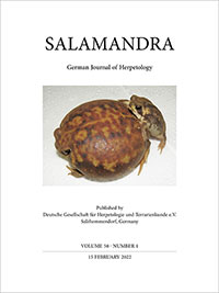 Salamandra