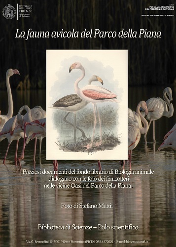 Poster La fauna avicola del Parco della Piana 