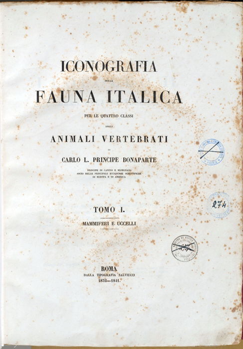 frontespizio di Iconografia della fauna italica per le quattro classi degli animali vertebrati