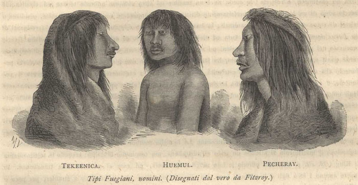 tipi feugiani p.948