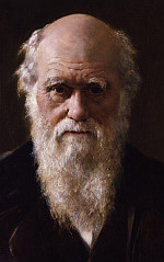 ritratto di Charles Darwin