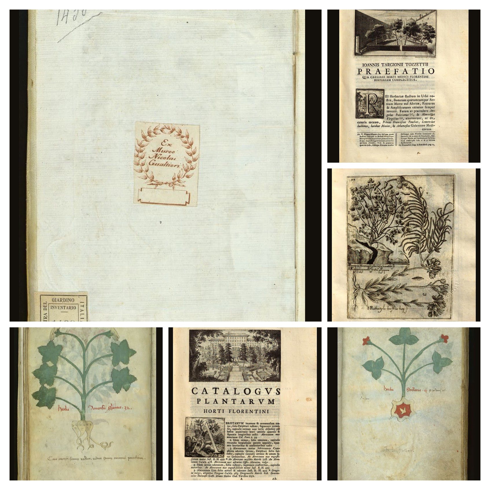 Volumi della biblioteca di Botanica in prestito alla mostra in Palazzo Vecchio