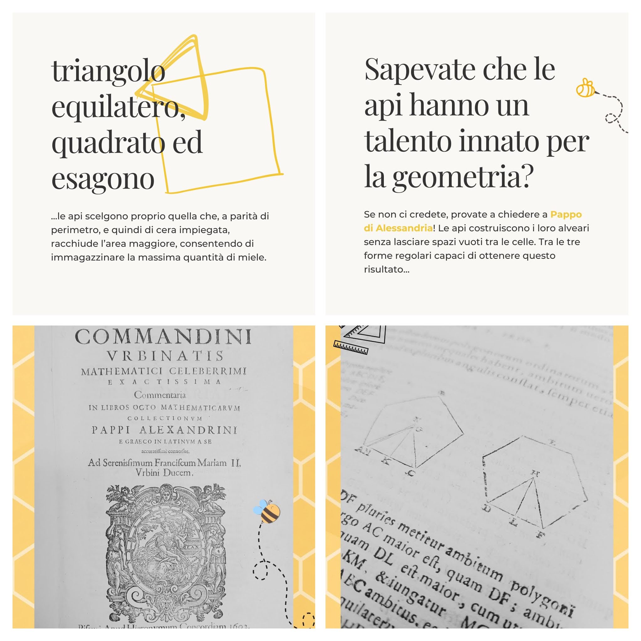 IL talento innato delle api per la geometria