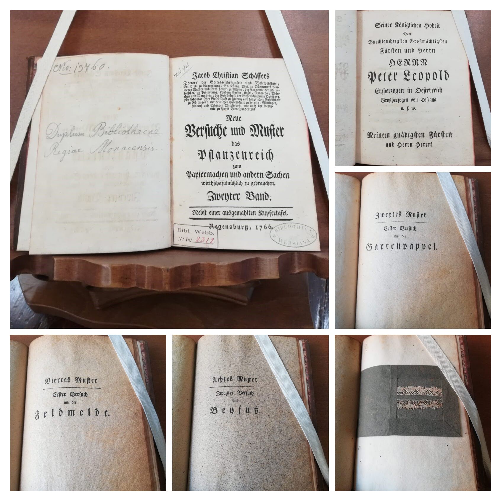 Un volume “sperimentale” scoperto nella Biblioteca di Botanica