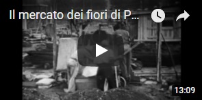 Sintesi del documentario didattico di Gori sul Mercato dei fiori di Pescia