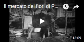 Sintesi del documentario didattico di Gori sul Mercato dei fiori di Pescia 