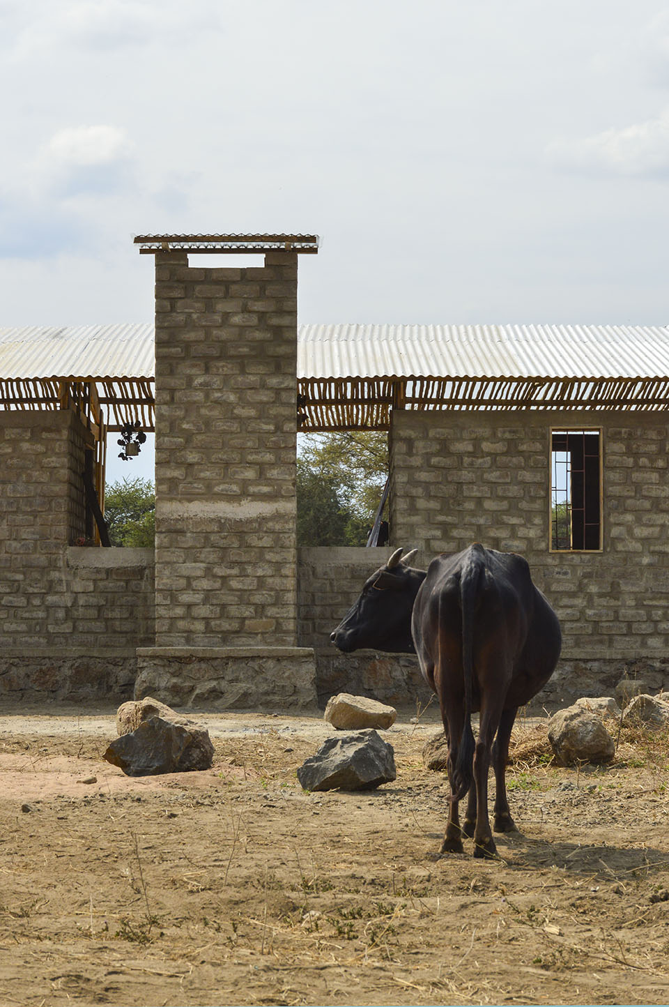 Retro della casa per medici a Maji Moto, Tanzania, foto di Studio | TOTALE