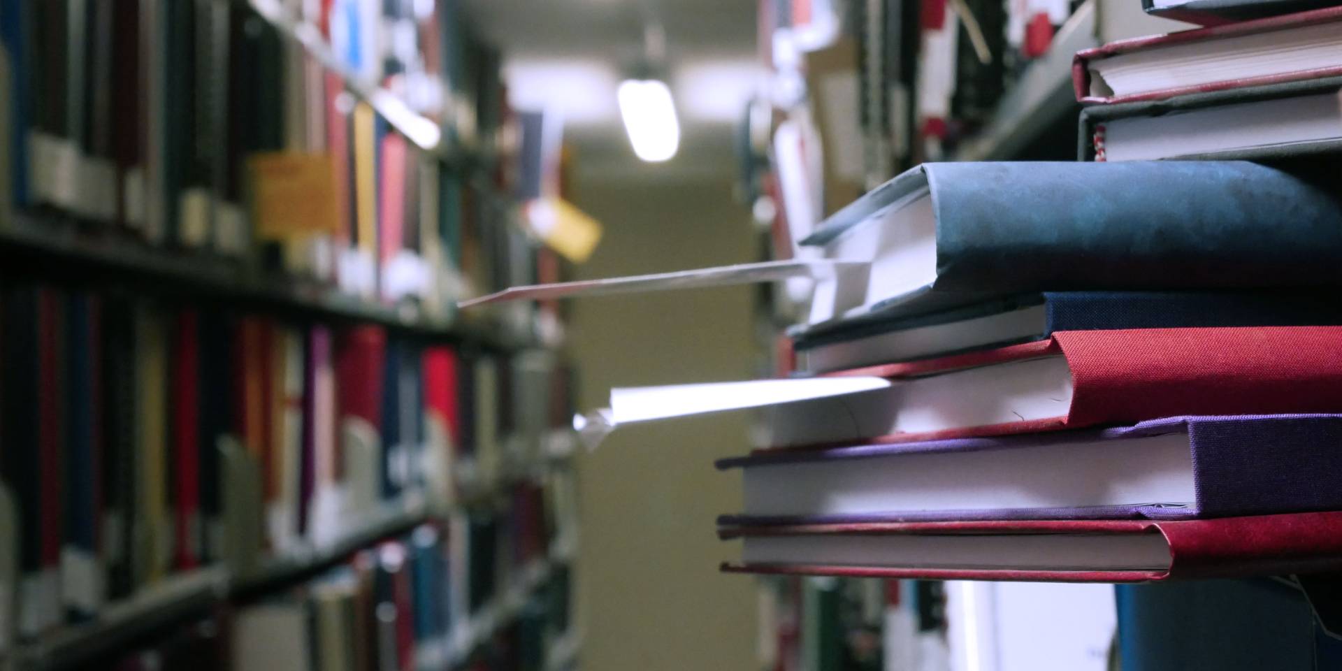 Consultazione tesi di laurea